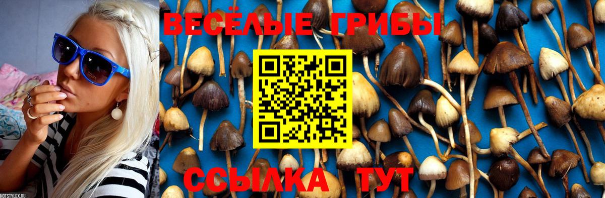 Псилоцибиновые грибы Psilocybine cubensis  Псилоцибиновые грибы Magic Shrooms  Губкин  Вход с VPN 